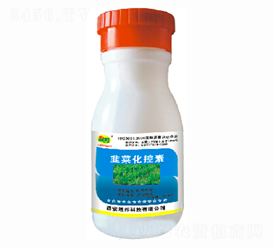 �²˻�����-�ɰ�����