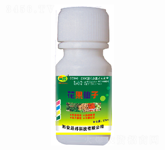 ��������-�ɰ�����