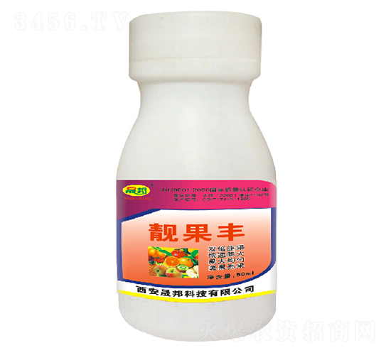 �n���S-�ɰ�����