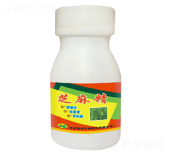 ֥�龫-�ɰ�����