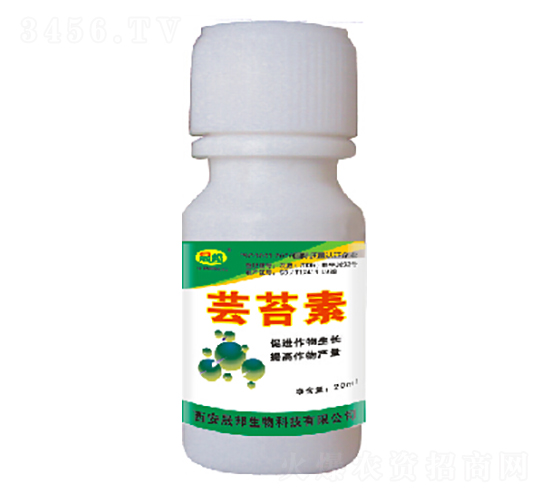 ���S�|̦��-�ɰ�����