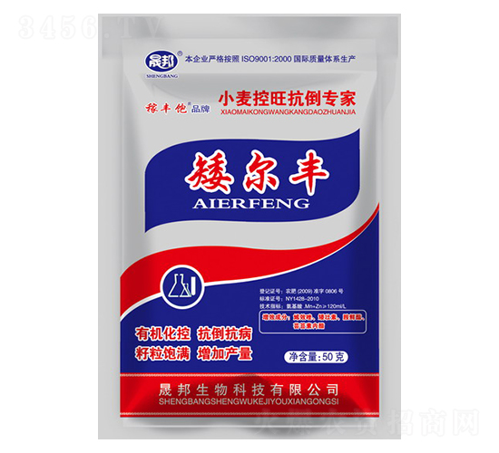 �����SС��������������-�ɰ�����