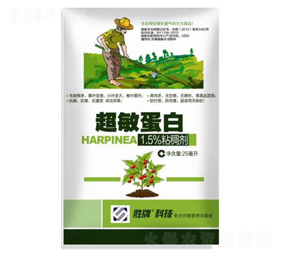 ��������-ِ�����