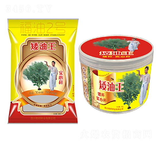 油菜種子-矮油王(福油2號(hào))-恒禾種業(yè)