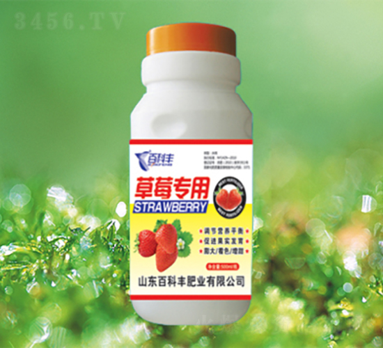 ��ݮ����-�ٿ��S