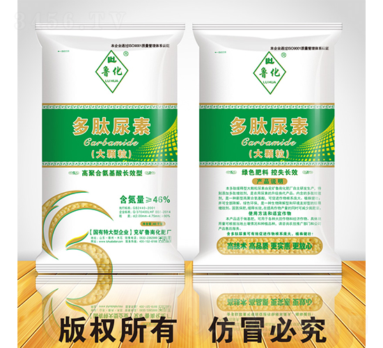 ���Ĵ��w������-������ꖹ�