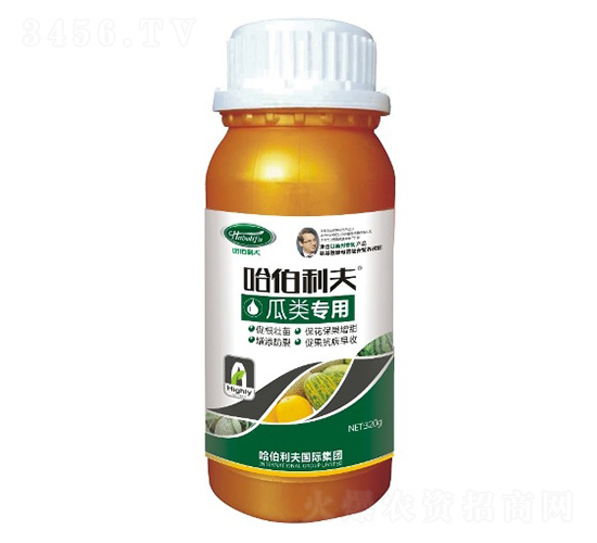 �����-��������