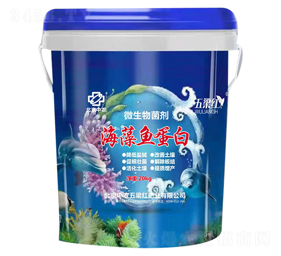 海藻魚(yú)蛋白-五梁紅