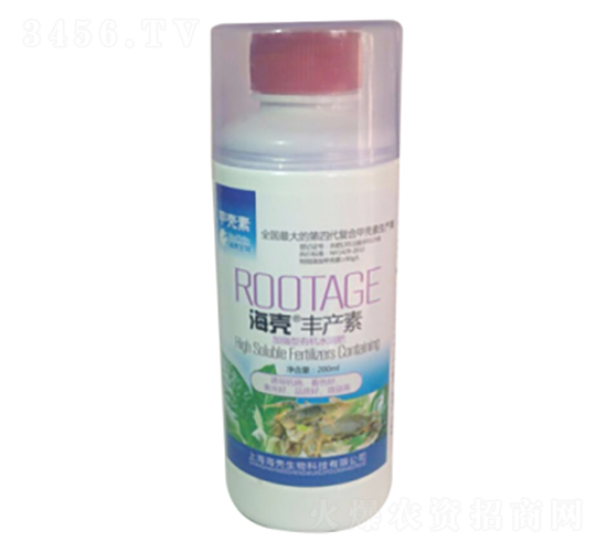 �ך����~���-��������