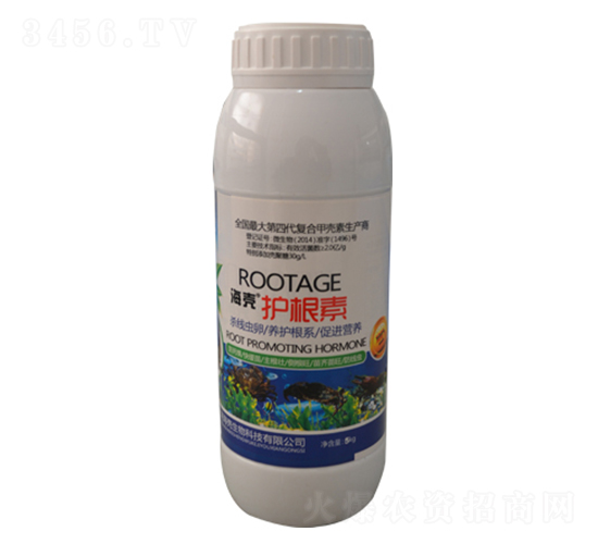 �����o���أ�ƿ��-��������