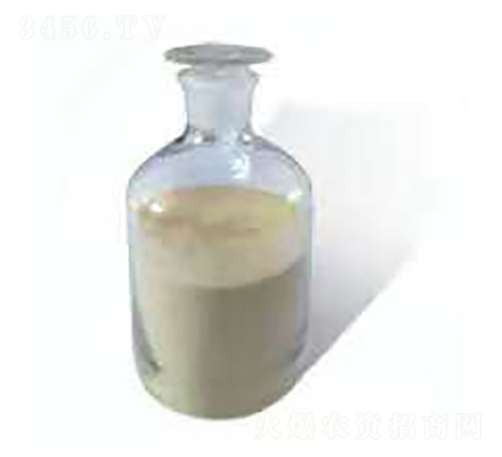 С���~���׷�-���ú���