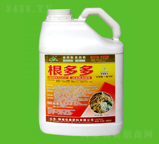 �����-�ѿ�