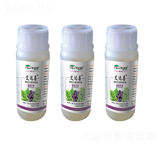 ���ь���-���_(d��)ϲ-��Ԫ