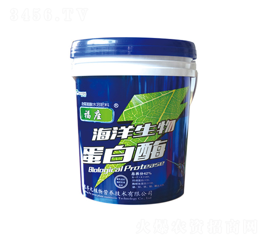 �������ﵰ��ø-��Ԫ