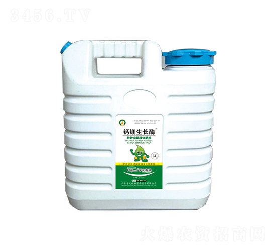 �}�V���Lø-��Ԫ