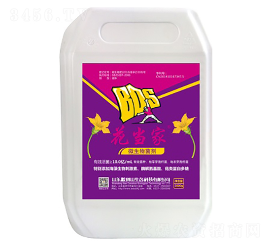 ΢�������-������-�ᵹɽ