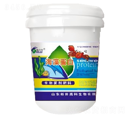 ���嵰��-ԣ��߿�