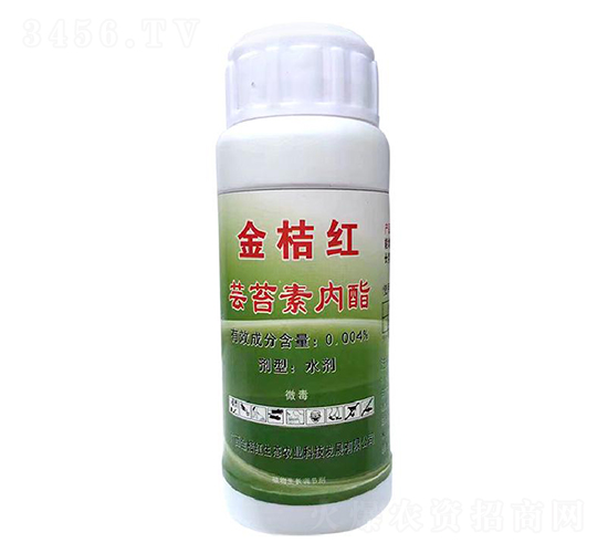 �|̦�؃�(n��i)֬-��ۼt���B(t��i)