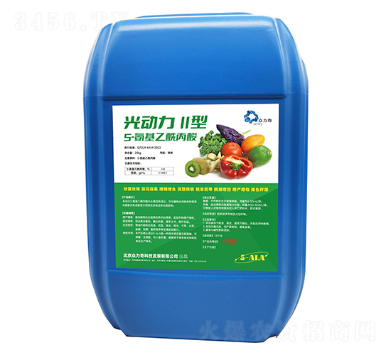 5-������������-�����II��-������