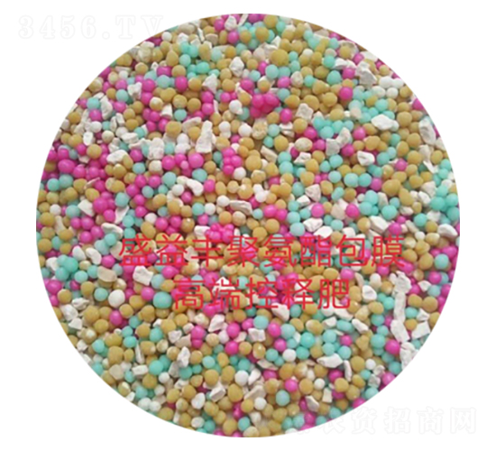 ��ጷ�-ʢ���S