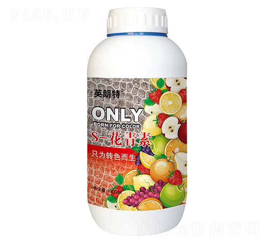 S-������-Ӣ����