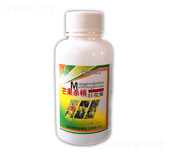 100mlâ�����҉ѻ���-�Ř�-���_