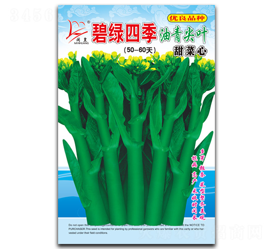 �̾G�ļ�-���ķN��-�}�ʷN�I(y��)