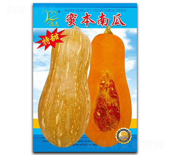 蜜本南瓜-南瓜種子-閩皇種業(yè)