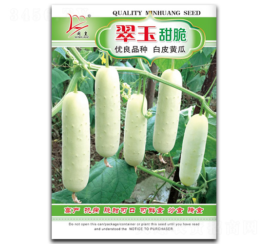 翠玉甜脆-黃瓜種子-閩皇種業(yè)