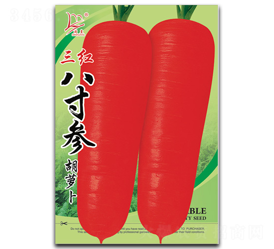 ���t�˴煢���}��-���}���N��-�}�ʷN�I(y��)