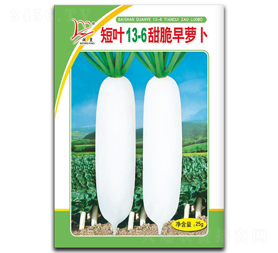 ���~13-6������}��-�}���N��-�}�ʷN�I(y��)