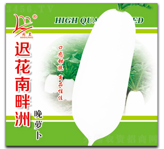 �t�����������}��-�}���N��-�}�ʷN�I(y��)