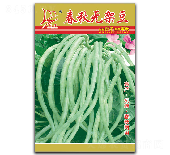 春秋無架豆-豆角種子-閩皇種業(yè)