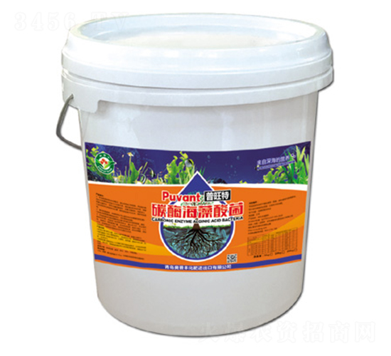 10kg̼ø�������-������-�W���S