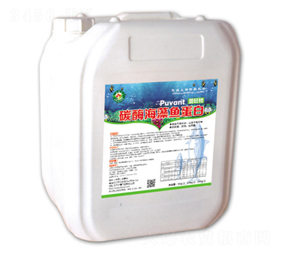 10kg̼ø�����~����-������-�W���S