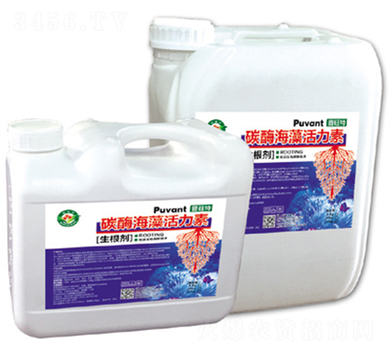 ̼ø��������أ���������-������-�W���S