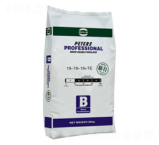 ��Ԫ��(f��)���x�ӷ�19-19-19+TE-��(y��u)�{��