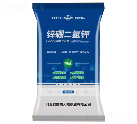 �\������-���ʘI(y��)