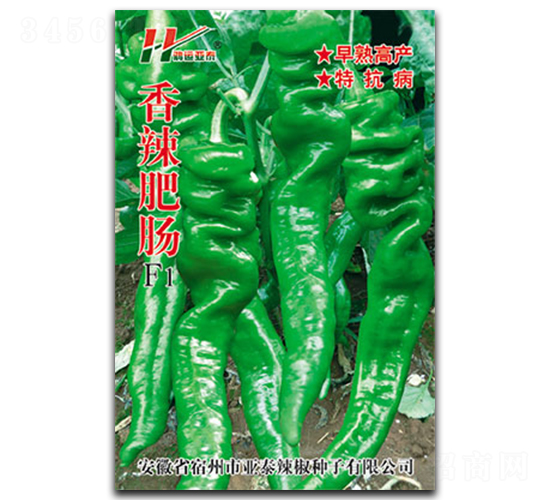 �������c-�ݽz���N��-��̩