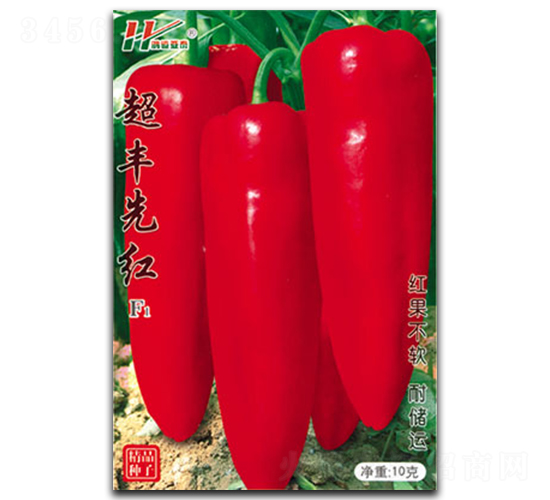 ���S�ȼt-����ݽ��N��-��̩