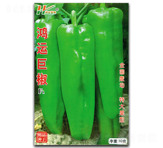 ���\(y��n)�޽�-����ݽ��N��-��̩