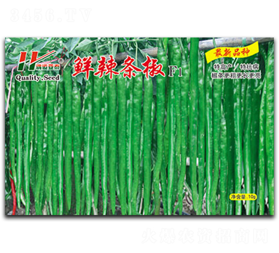 �r���l��-�����N��-��̩