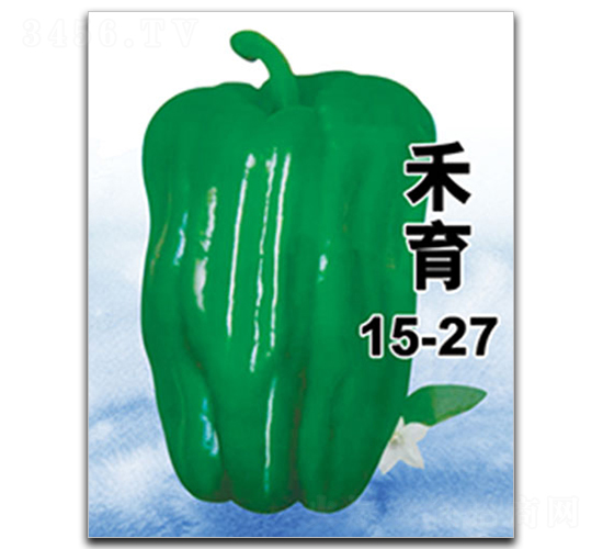 ����15-27-�����N��-�ٺ̹�