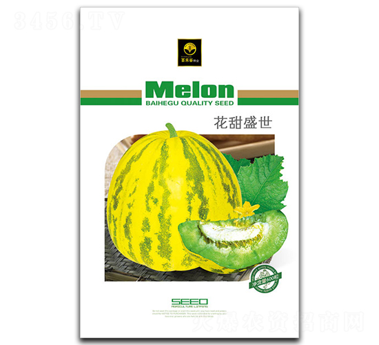 ����ʢ��-��ϷN��-�ٺ̹�