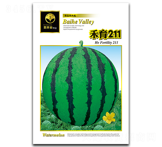 ����211-���ϷN��-�ٺ̹�