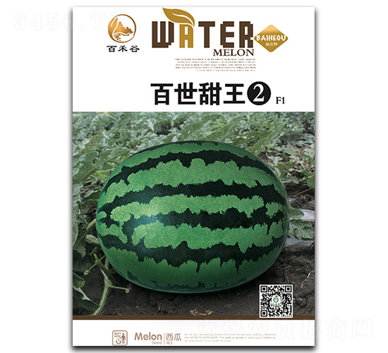 ��������2-���ϷN��-�ٺ̹�