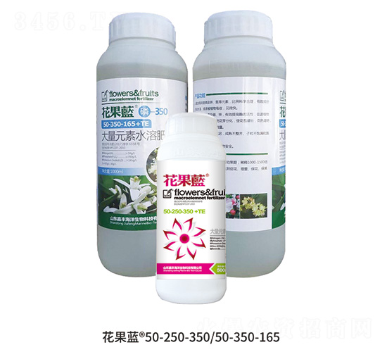 花果藍組合-嘉豐