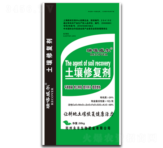 �����ޏ�(f��)��-������-���S����