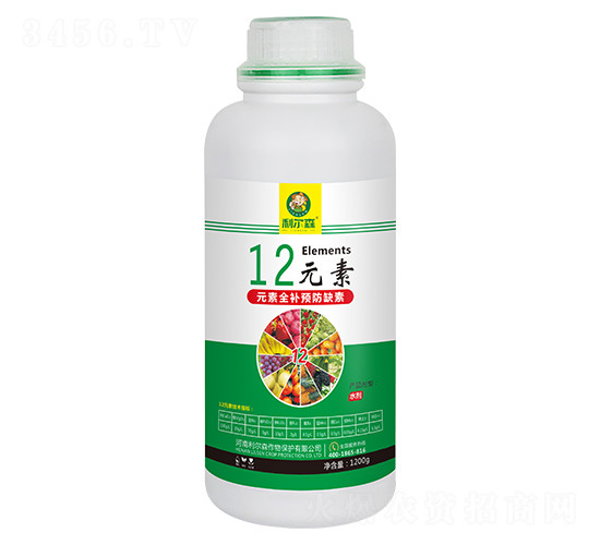 12Ԫ��-����ɭ