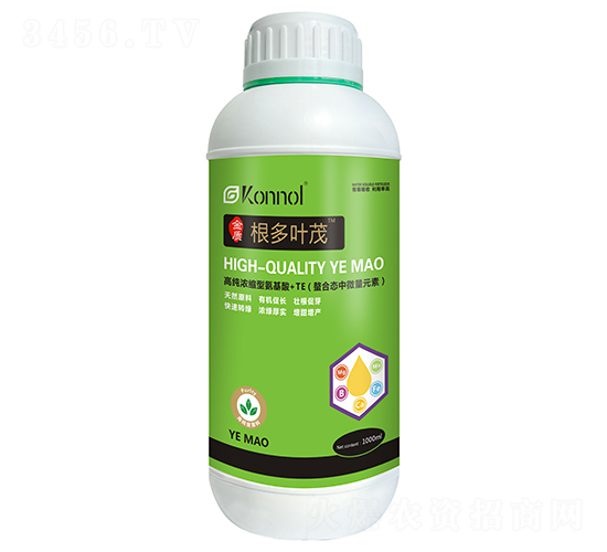 根多葉茂-西部能源